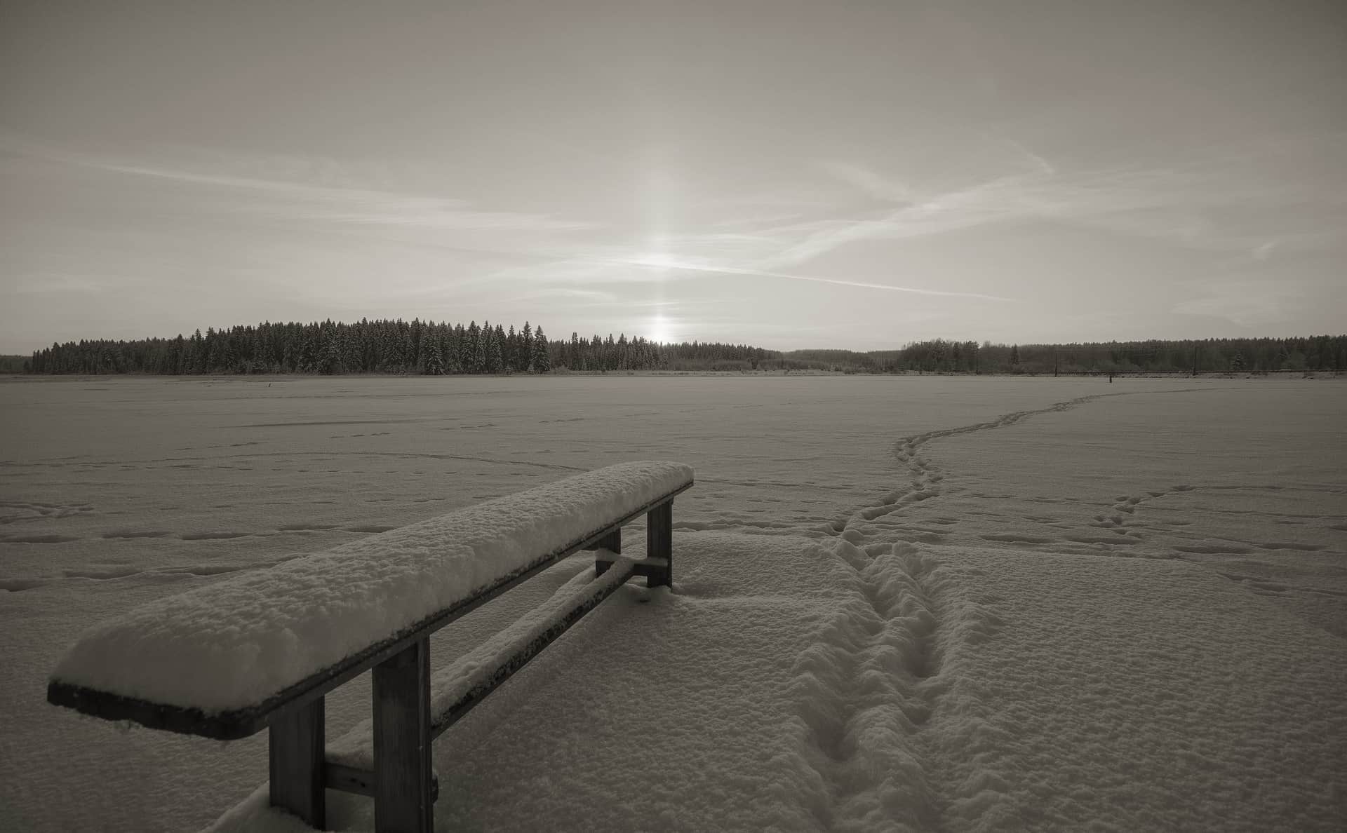 Frozen lake surface at dawn in winter
